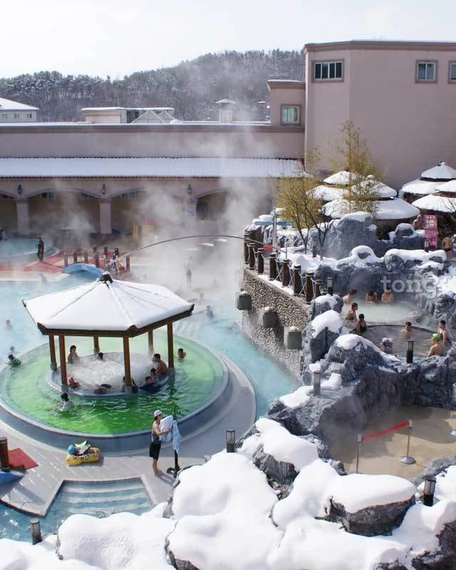 2019012980101_6.jpg?type=w1200