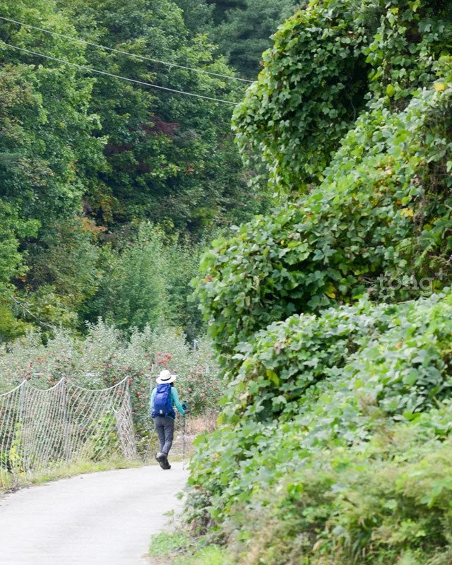 2018110102702_1.jpg?type=w1200