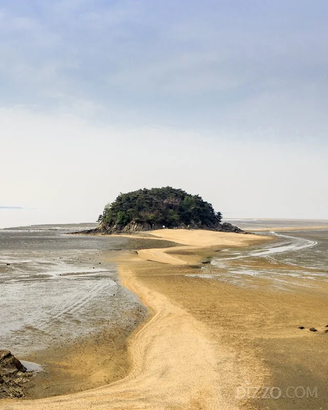 2019053080060_0.jpg?type=w1200