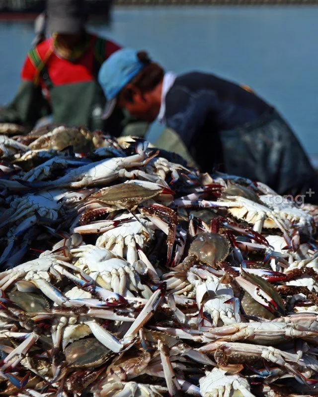 2018100102183_1.jpg?type=w1200