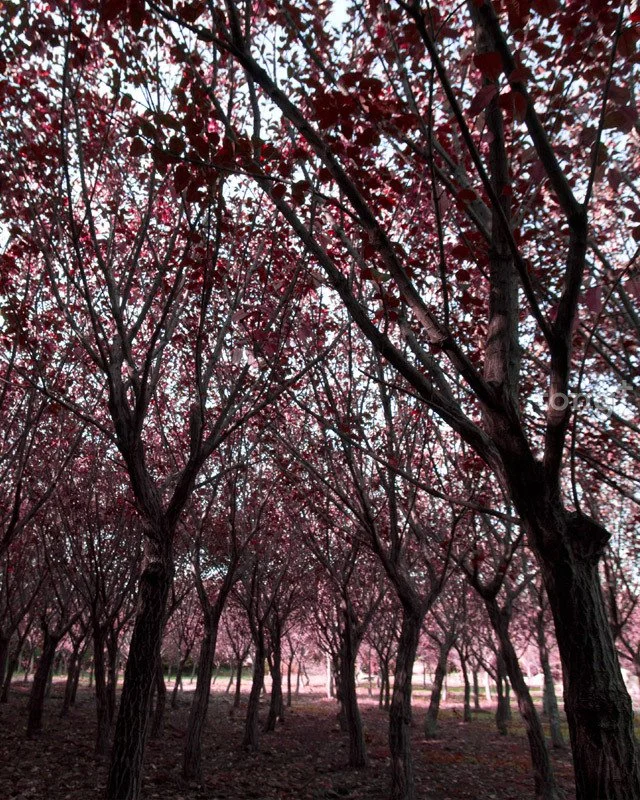 2018102301001_2.jpg?type=w1200