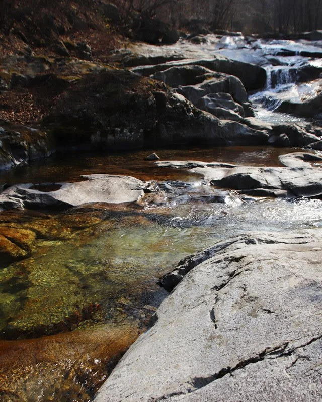 2019040180134_4.jpg?type=w1200