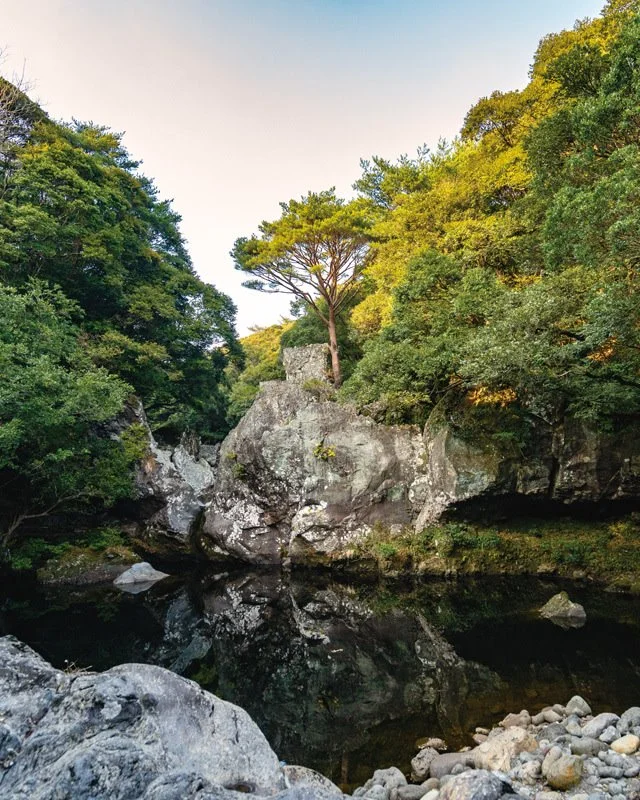 2019032980096_5.jpg?type=w1200