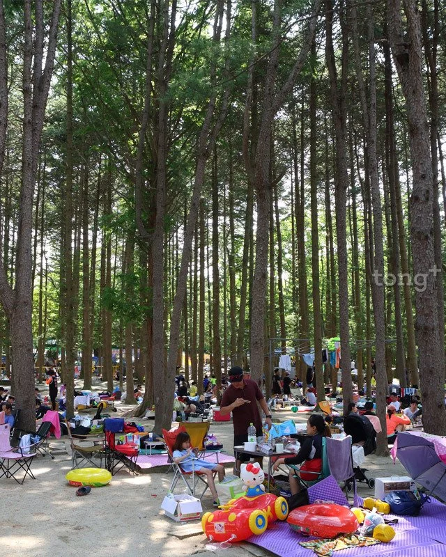 2018073001768_5.jpg?type=w1200