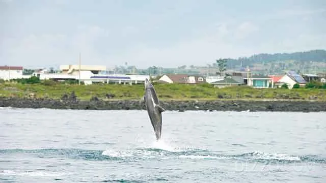 2019062580059_7.jpg?type=w1200