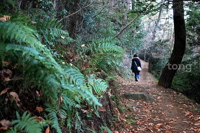 2019010980065_9.jpg?type=w1200