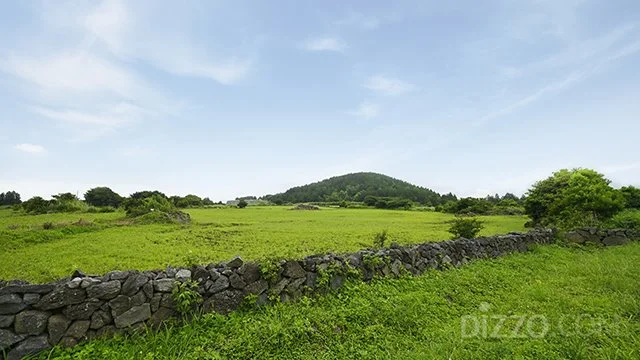 2019072480118_1.jpg?type=w1200