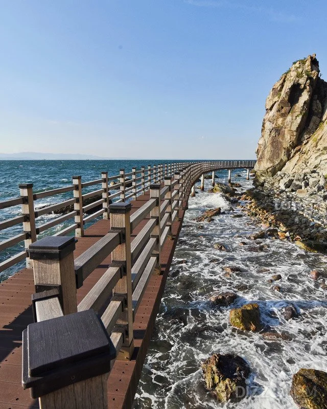 2019041180032_5.jpg?type=w1200