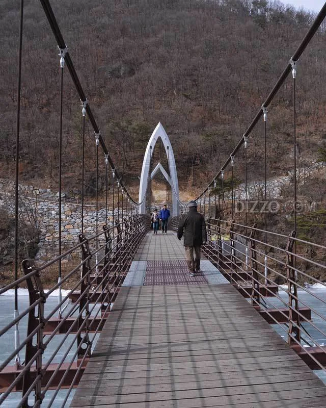 2019022780139_5.jpg?type=w1200