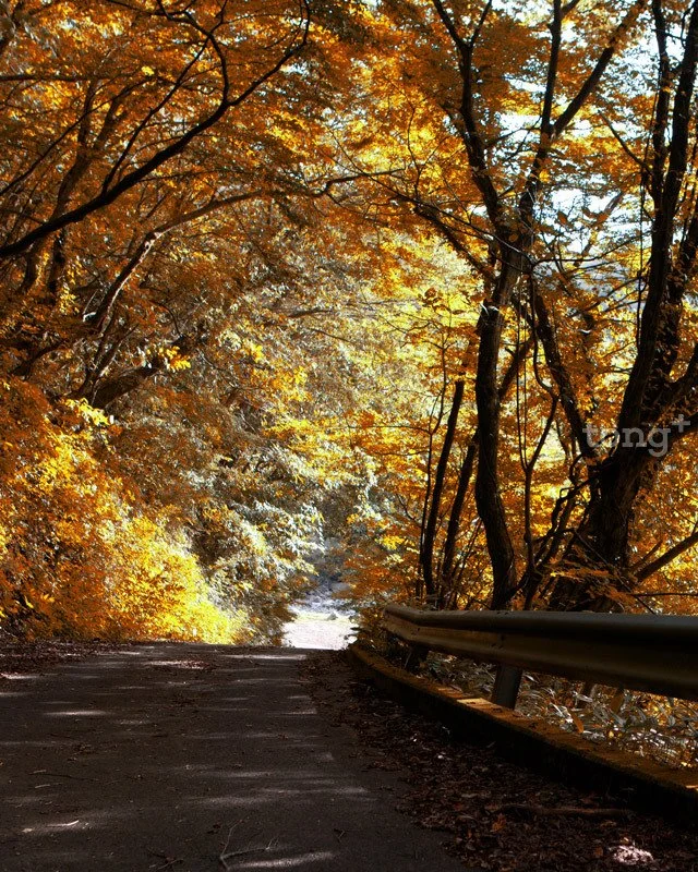 2018100402046_4.jpg?type=w1200