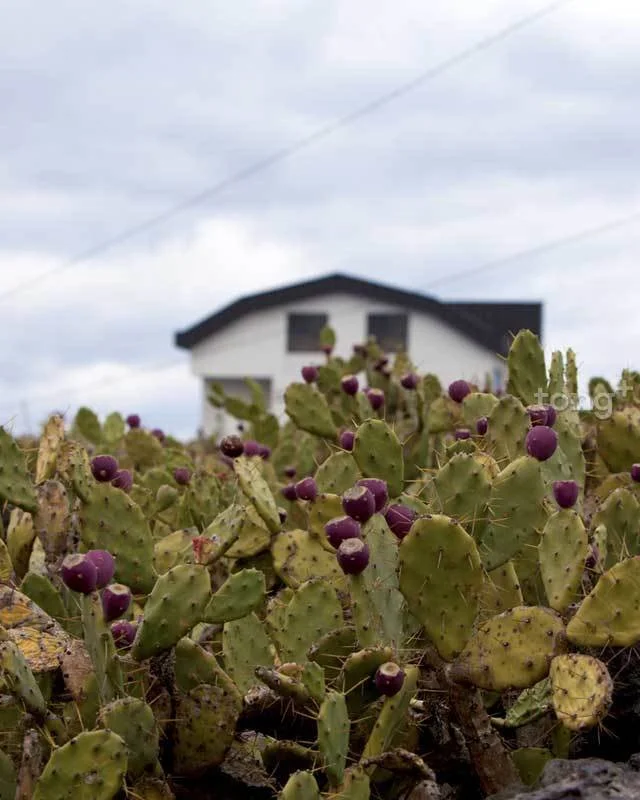 2018122780039_4.jpg?type=w1200