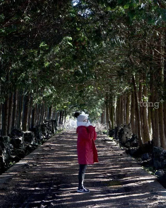 2018122780039_3.jpg?type=w1200