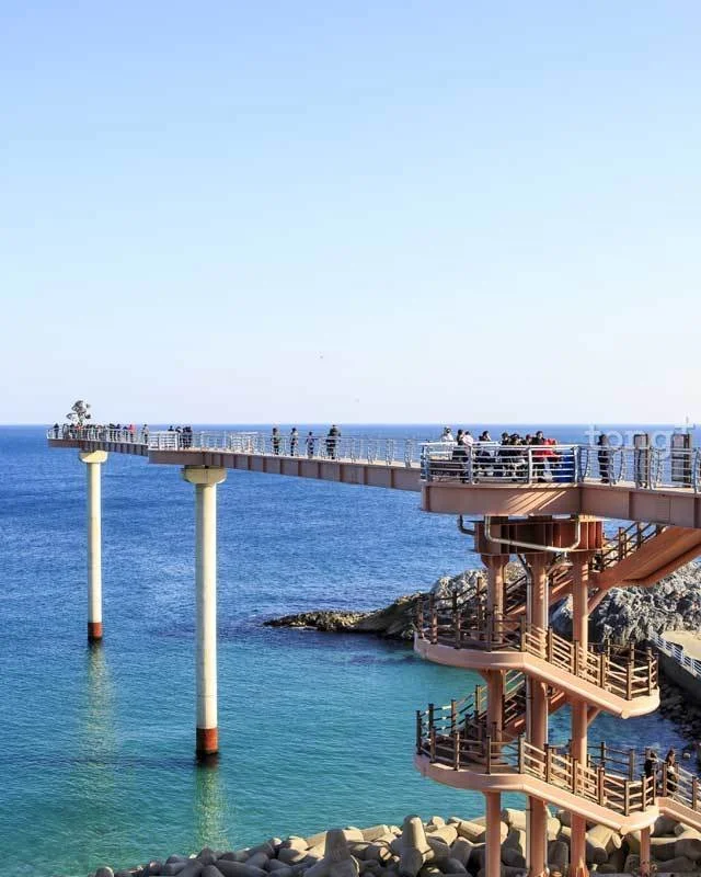 2019012980101_11.jpg?type=w1200