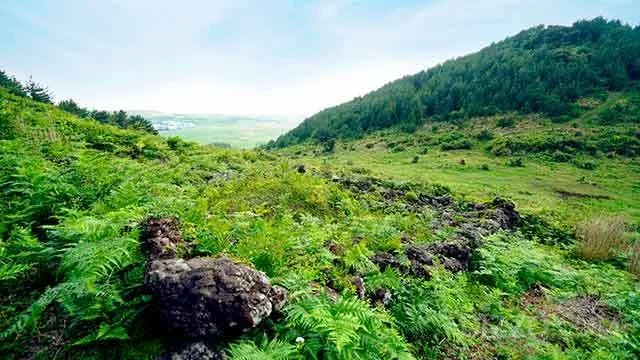 2019062580059_2.jpg?type=w1200