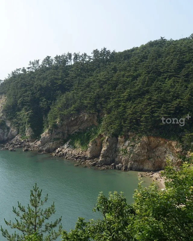 2018080700825_9.jpg?type=w1200