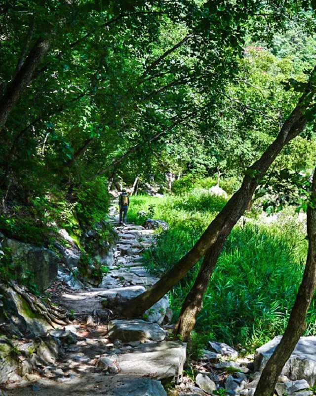 2018080700825_3.jpg?type=w1200