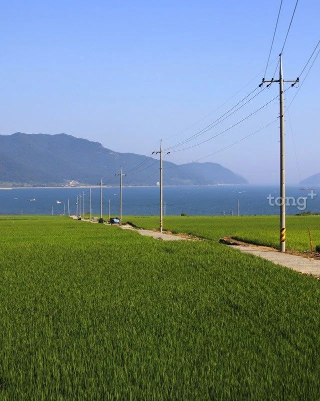 2018080700825_11.jpg?type=w1200