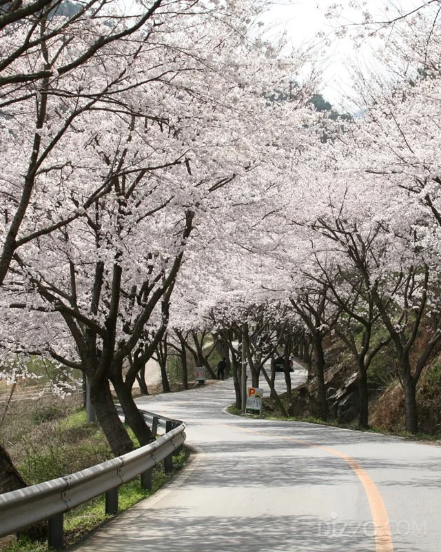 2019032980138_8.jpg?type=w1200