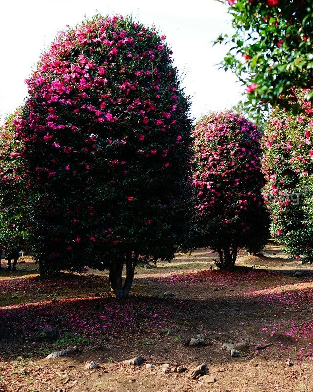 2018112002514_4.jpg?type=w1200