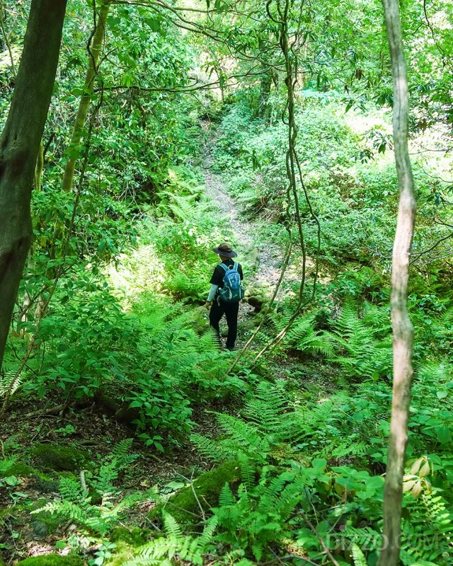 2019070480060_12.jpg?type=w1200