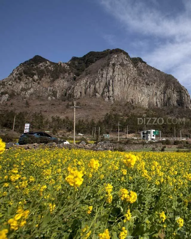 2019022080071_1.jpg?type=w1200