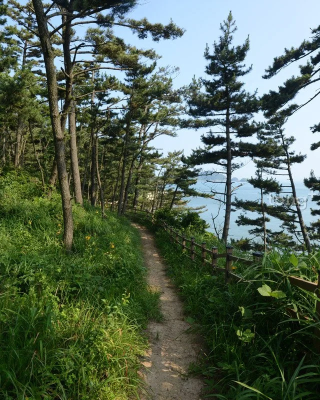 2018080700825_8.jpg?type=w1200