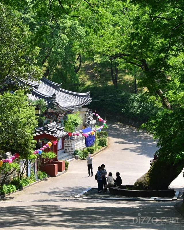 2019060380081_2.jpg?type=w1200