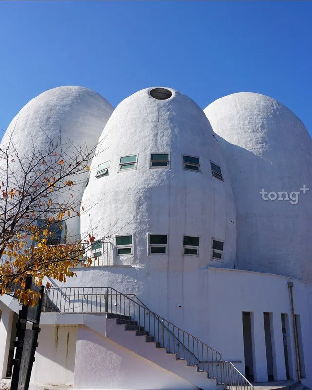 2018112801079_5.jpg?type=w1200