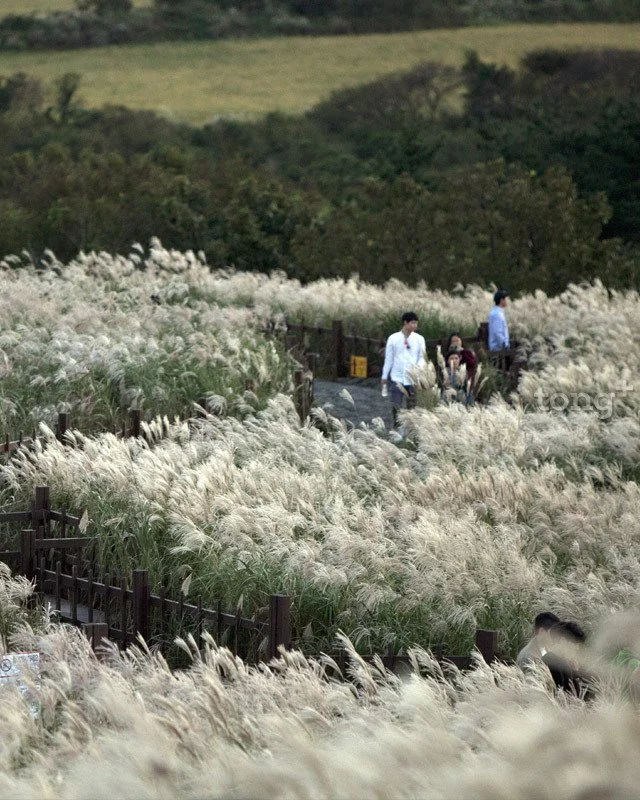 2018102301001_6.jpg?type=w1200