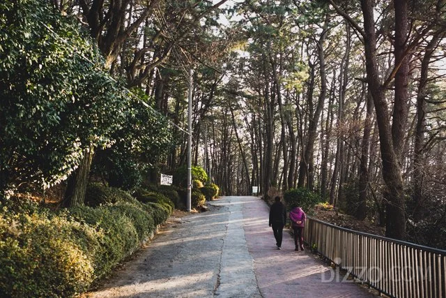 2020020480142_3.jpg?type=w1200