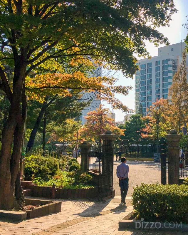 2019110480039_7.jpg?type=w1200