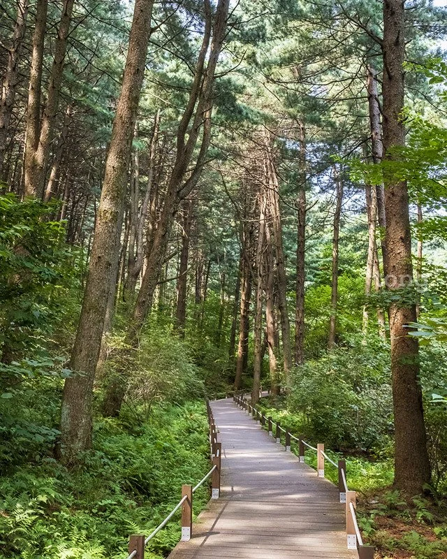 2018083101840_0.jpg?type=w1200