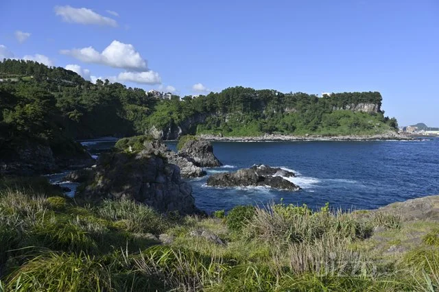 2019082380054_4.jpg?type=w1200