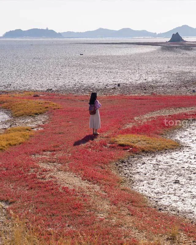 2018120501415_4.jpg?type=w1200