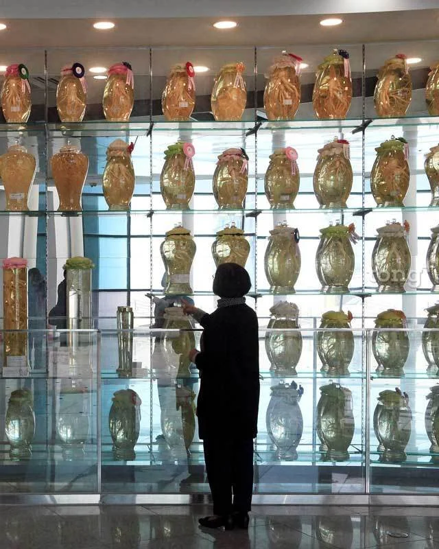 2018112801079_9.jpg?type=w1200