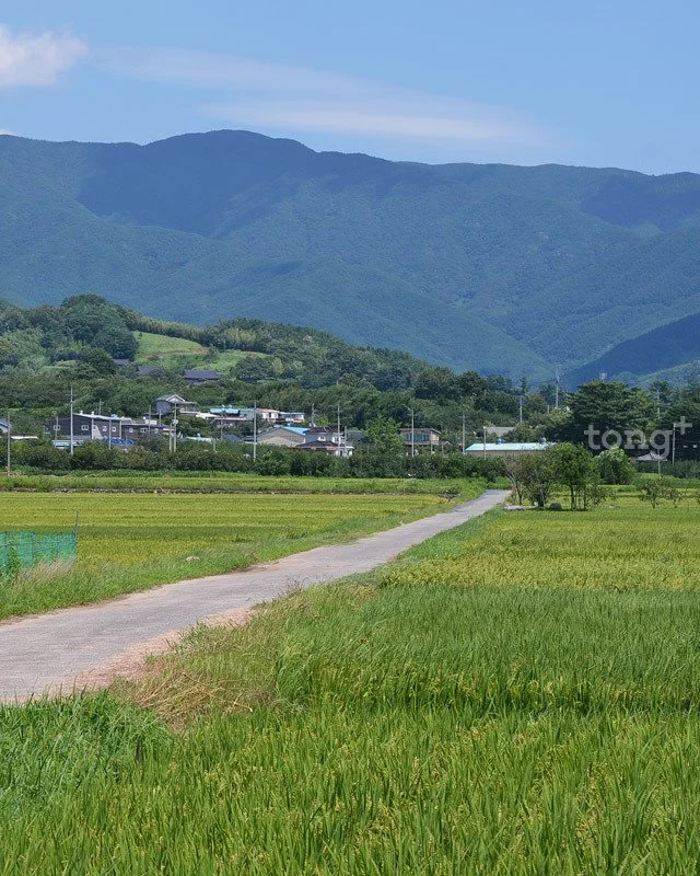 2018100102183_9.jpg?type=w1200