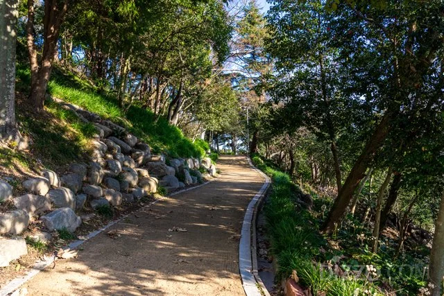 2020020480142_6.jpg?type=w1200