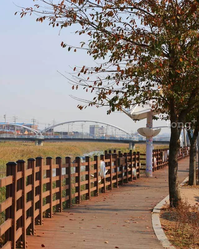 2018120501415_8.jpg?type=w1200