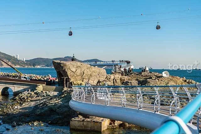 2019010980065_1.jpg?type=w1200