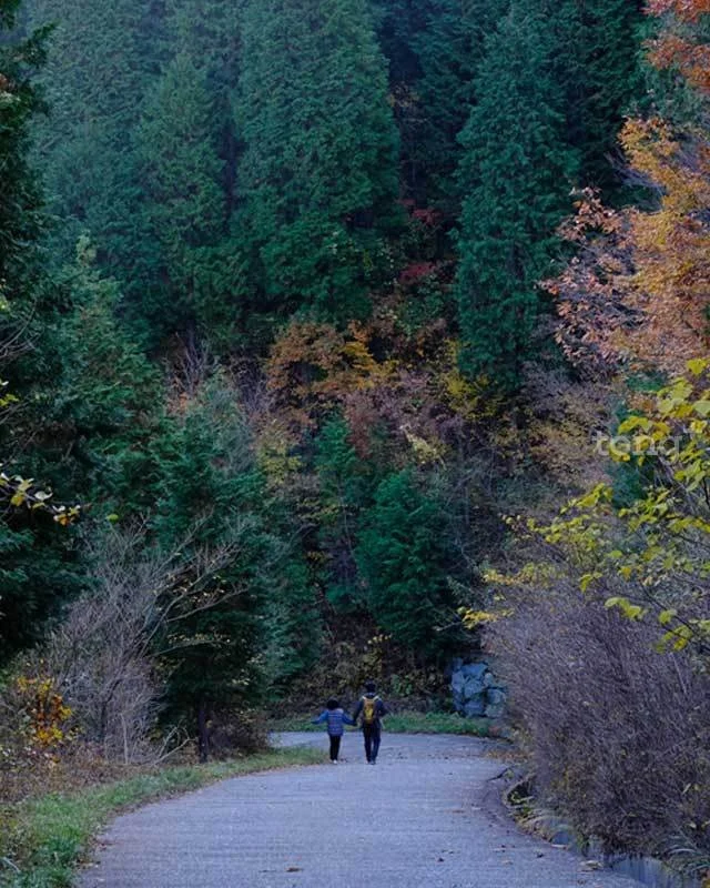 2018120501415_2.jpg?type=w1200