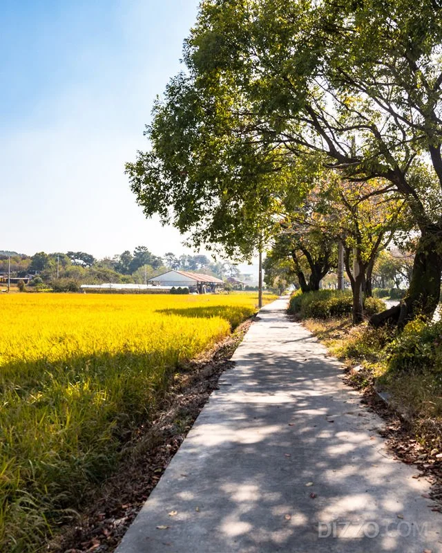 2019110480039_4.jpg?type=w1200