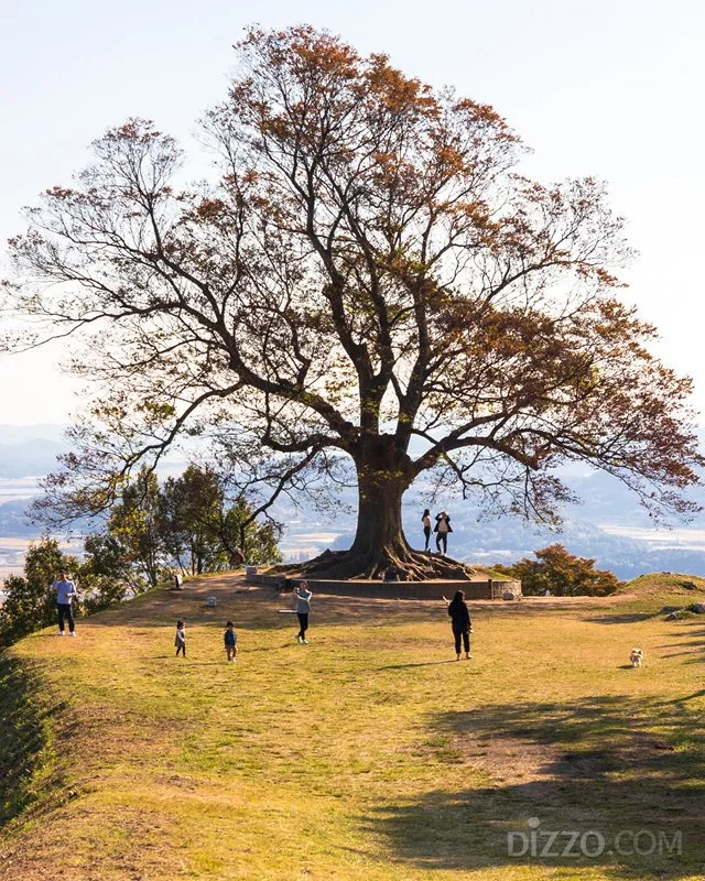 2019110480039_5.jpg?type=w1200