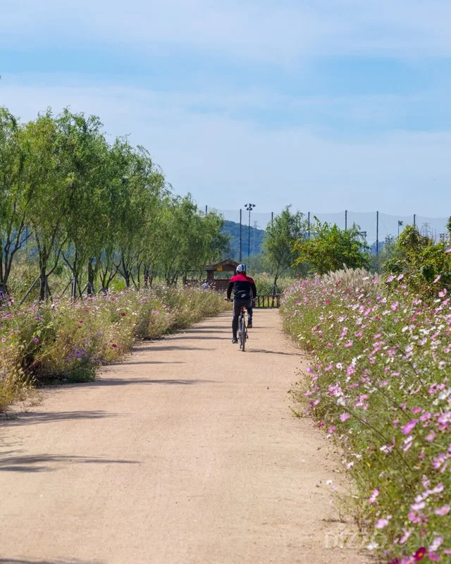 2019110480039_3.jpg?type=w1200