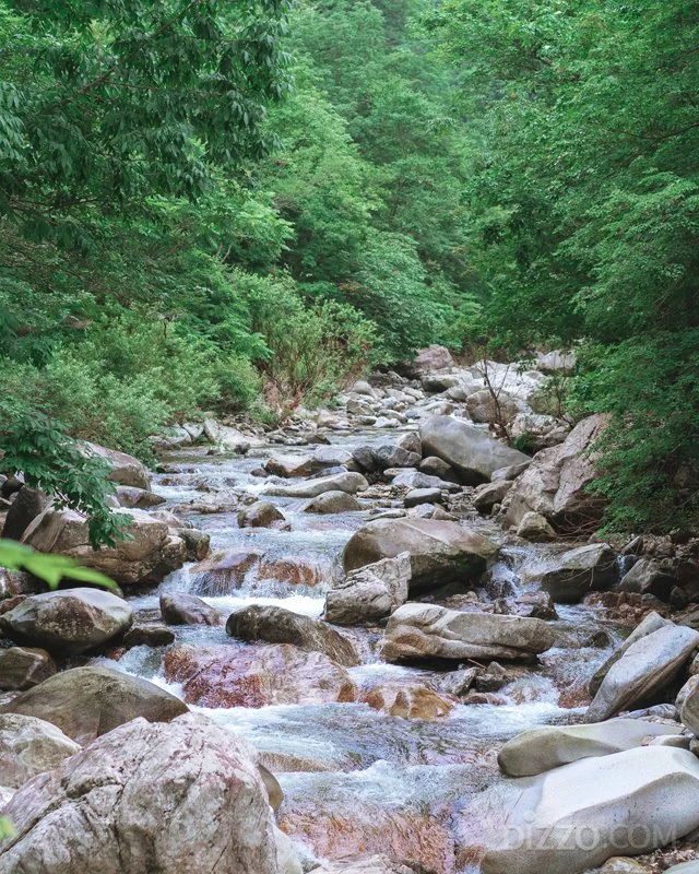 2019080180061_1.jpg?type=w1200