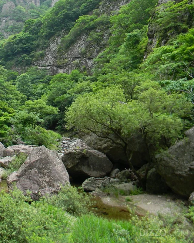 2019071580131_8.jpg?type=w1200