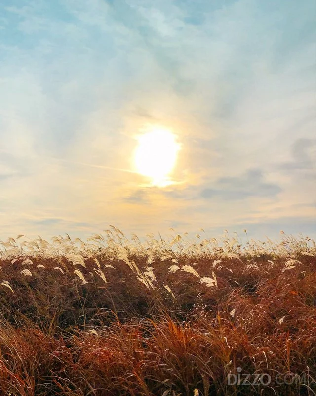 2019120480134_9.jpg?type=w1200