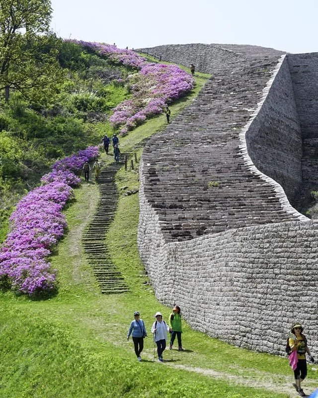 2019060380081_6.jpg?type=w1200