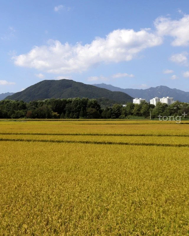 2018100802318_2.jpg?type=w1200