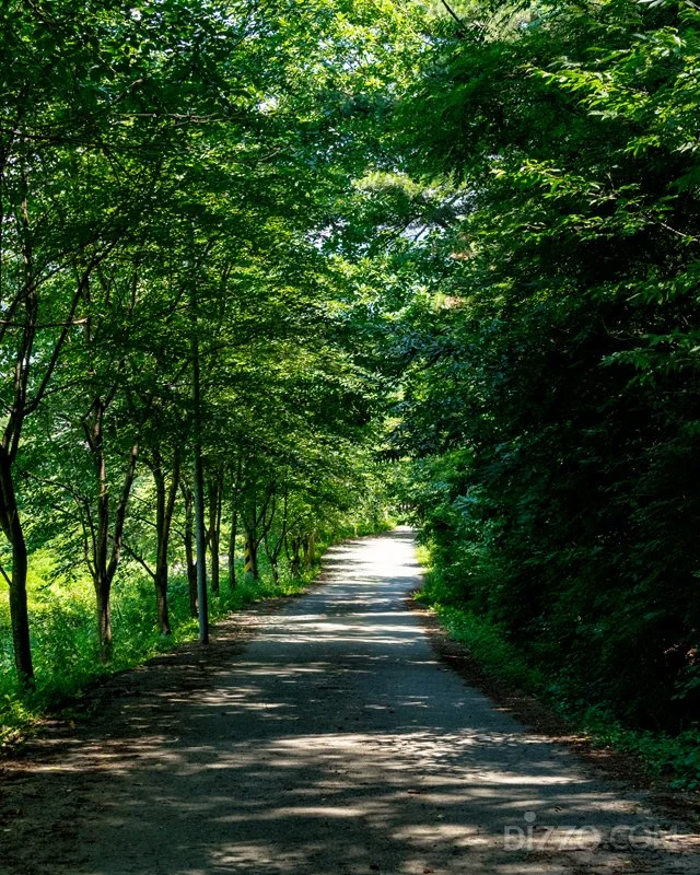 2019080180061_2.jpg?type=w1200