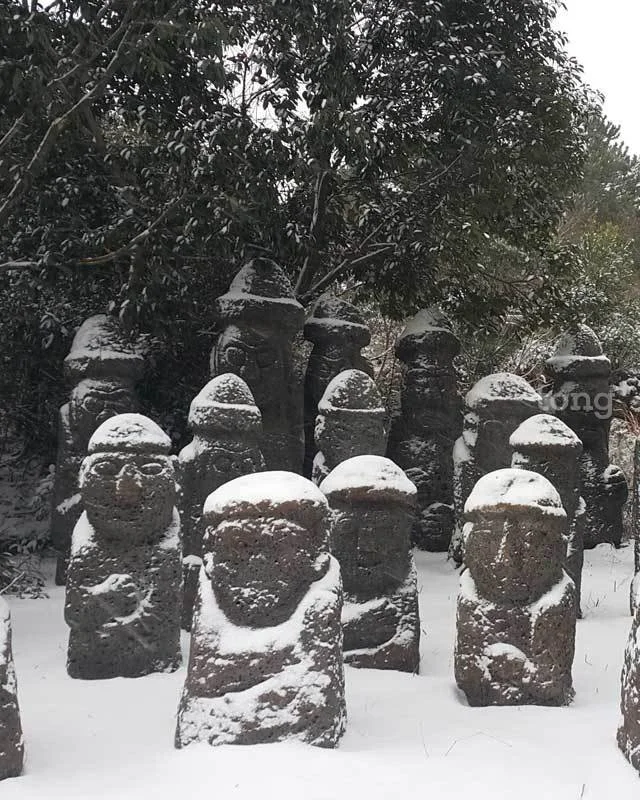 2018122780039_6.jpg?type=w1200